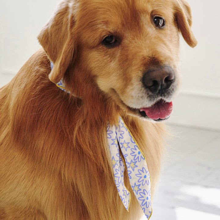 ※予約販売【munikund】COOL SCARF（Bloom Blue）