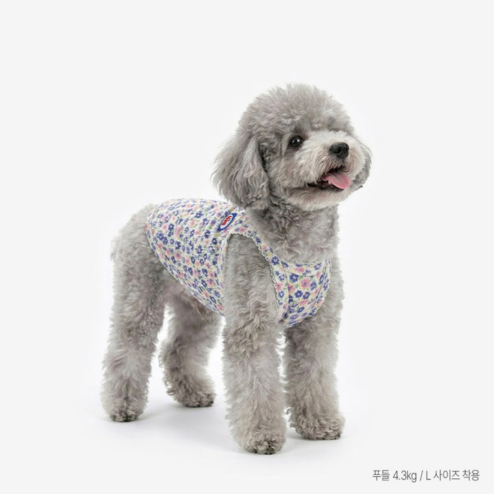 ※予約販売【TUSTUS】Bloom Top