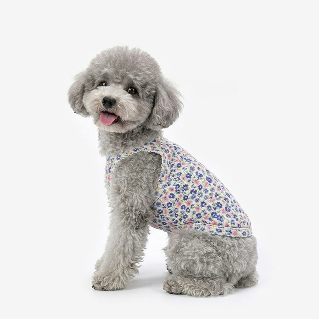 ※予約販売【TUSTUS】Bloom Top