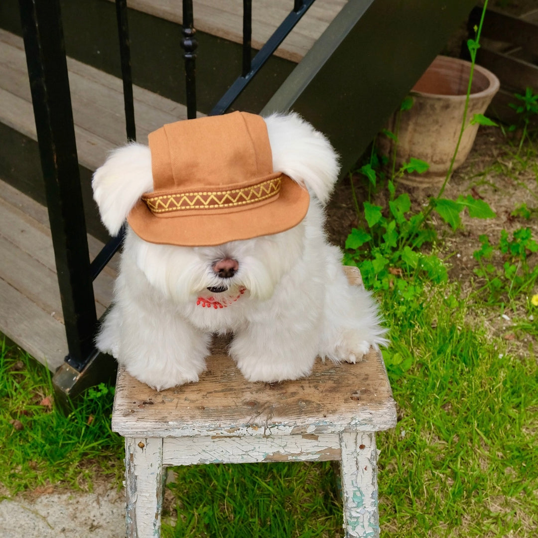 ※予約販売【FREDDIE TALE】Howdy Bucket Hat