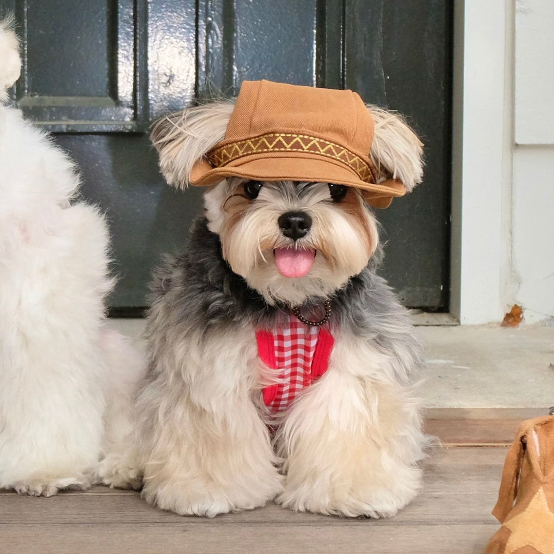 ※予約販売【FREDDIE TALE】Howdy Bucket Hat