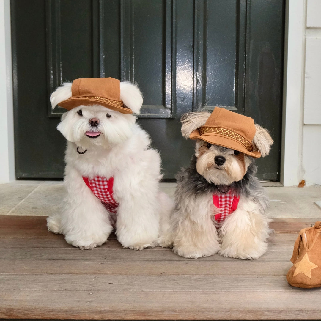 ※予約販売【FREDDIE TALE】Howdy Bucket Hat
