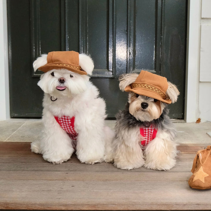 ※予約販売【FREDDIE TALE】Howdy Bucket Hat