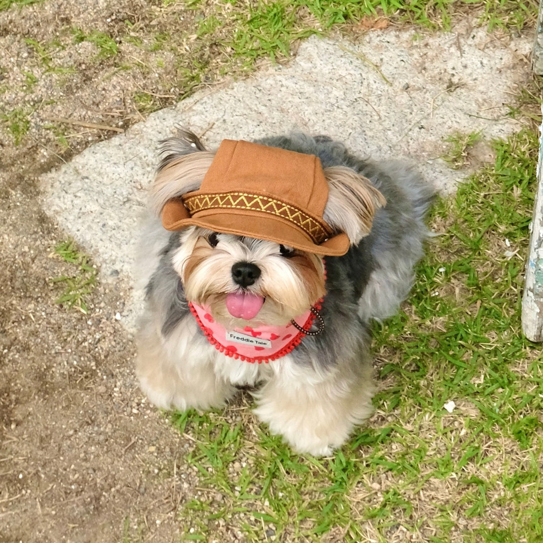 ※予約販売【FREDDIE TALE】Howdy Bucket Hat