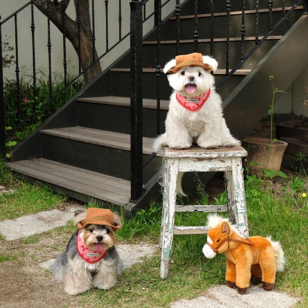 ※予約販売【FREDDIE TALE】Howdy Bucket Hat