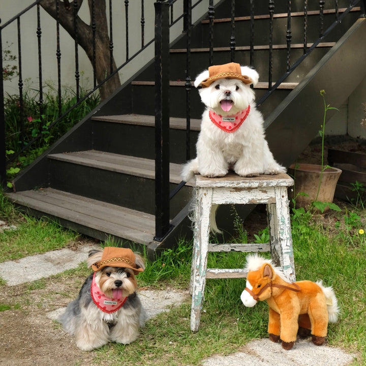 ※予約販売【FREDDIE TALE】Howdy Bucket Hat
