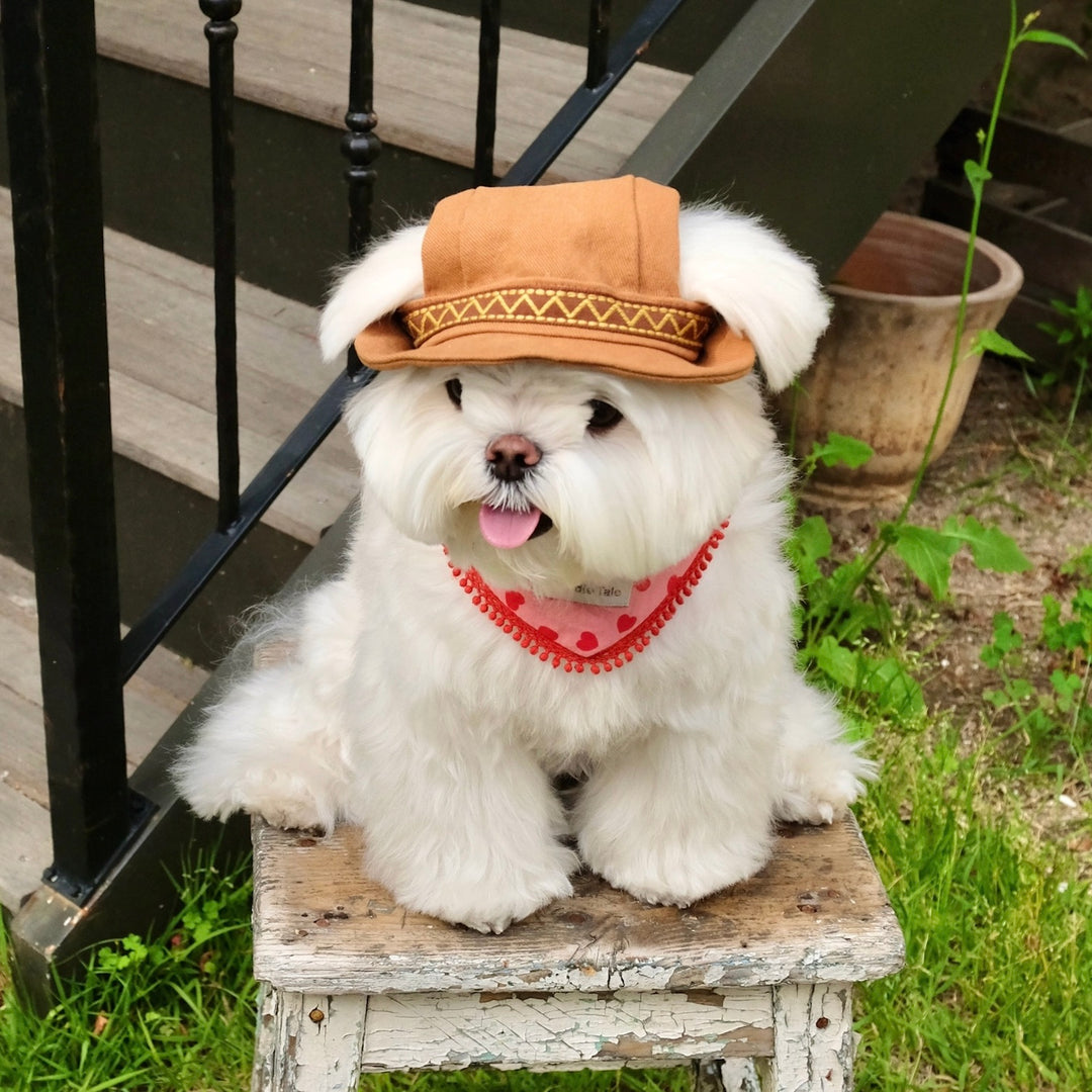 ※予約販売【FREDDIE TALE】Howdy Bucket Hat