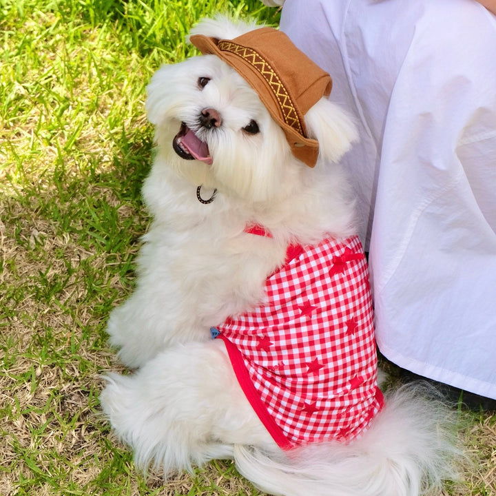 ※予約販売【FREDDIE TALE】Howdy Bucket Hat