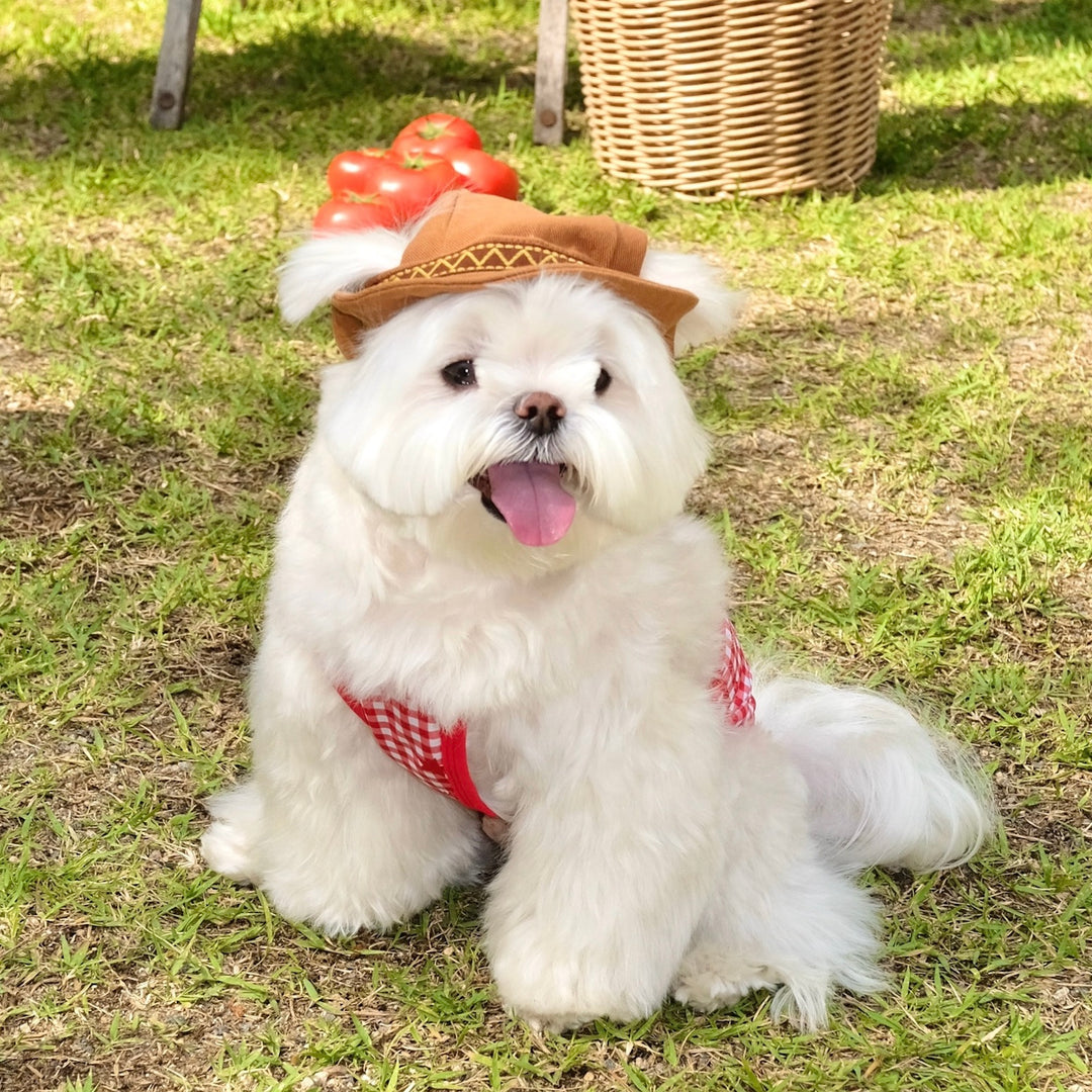 ※予約販売【FREDDIE TALE】Howdy Bucket Hat