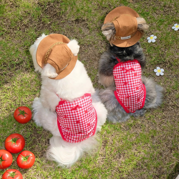 ※予約販売【FREDDIE TALE】Howdy Bucket Hat