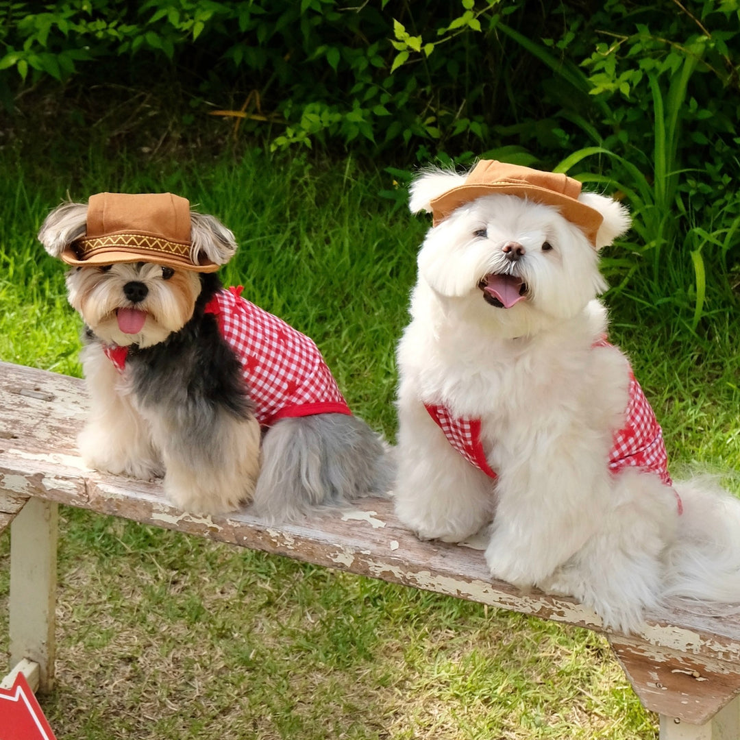 ※予約販売【FREDDIE TALE】Howdy Bucket Hat