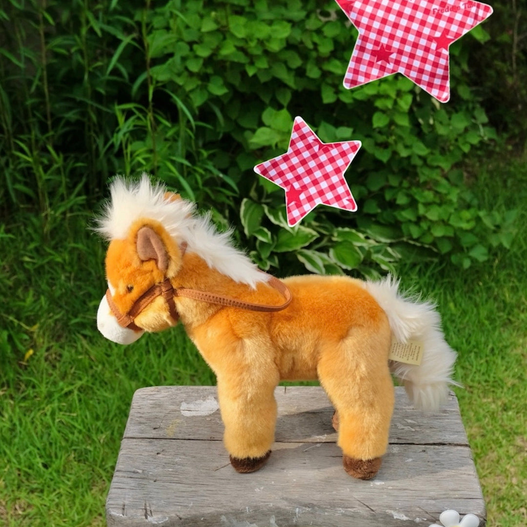 ※予約販売【FREDDIE TALE】Howdy Star Monokini