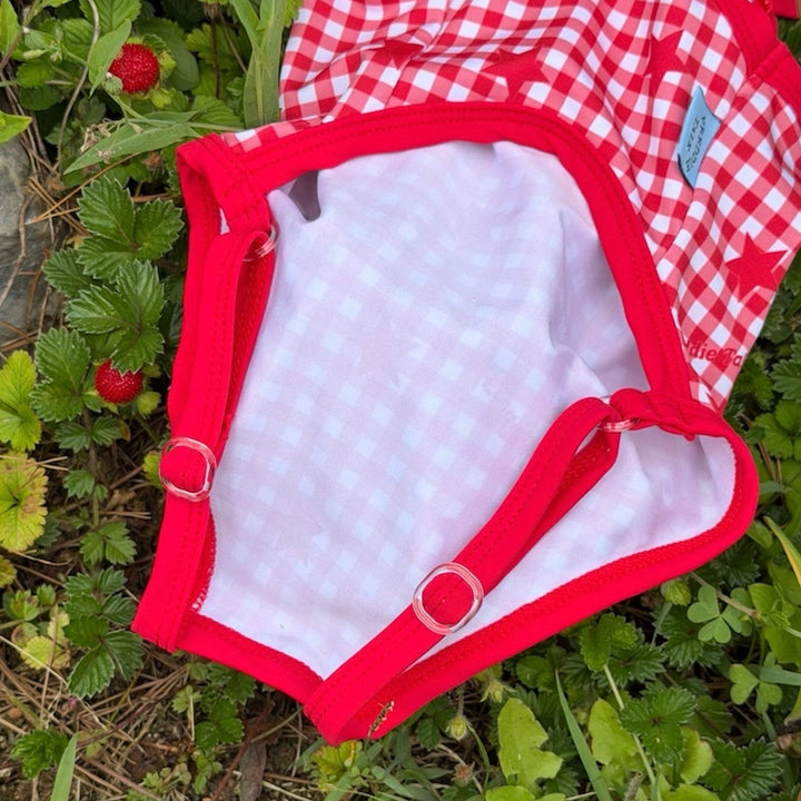 ※予約販売【FREDDIE TALE】Howdy Star Monokini