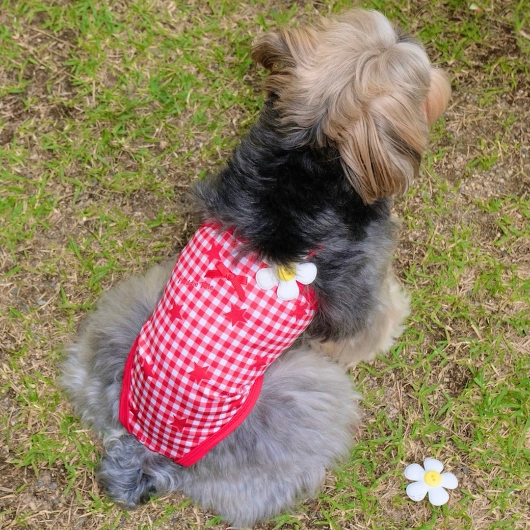 ※予約販売【FREDDIE TALE】Howdy Star Monokini