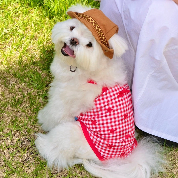 ※予約販売【FREDDIE TALE】Howdy Star Monokini