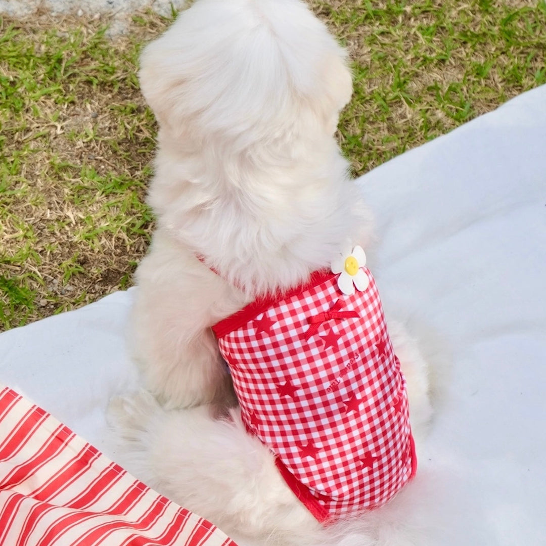 ※予約販売【FREDDIE TALE】Howdy Star Monokini