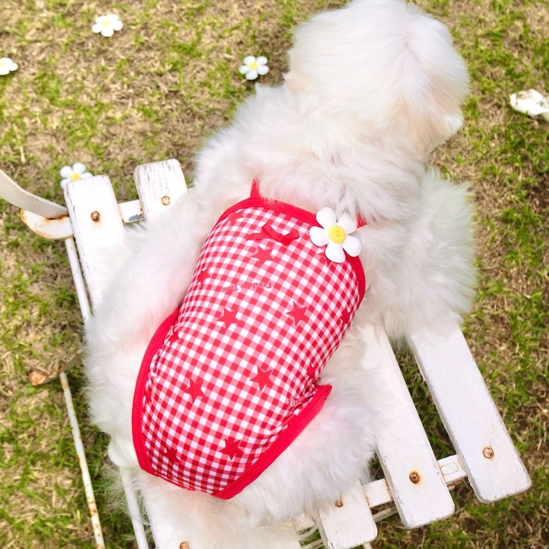 ※予約販売【FREDDIE TALE】Howdy Star Monokini
