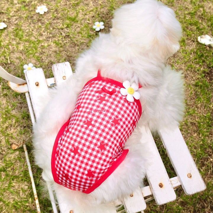 ※予約販売【FREDDIE TALE】Howdy Star Monokini