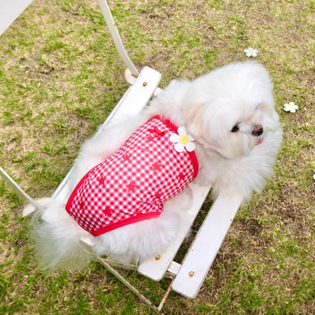 ※予約販売【FREDDIE TALE】Howdy Star Monokini