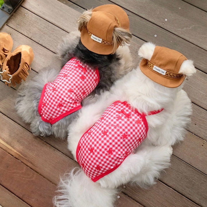 ※予約販売【FREDDIE TALE】Howdy Star Monokini