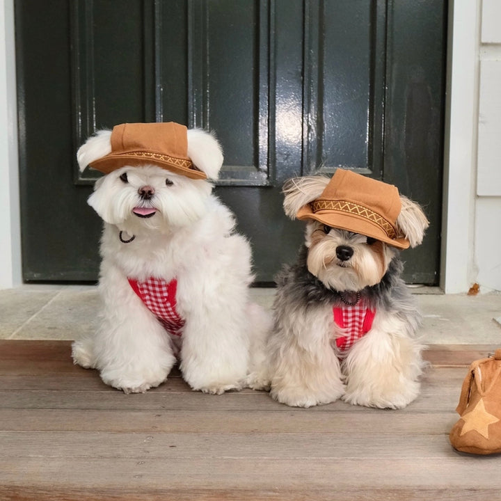 ※予約販売【FREDDIE TALE】Howdy Star Monokini