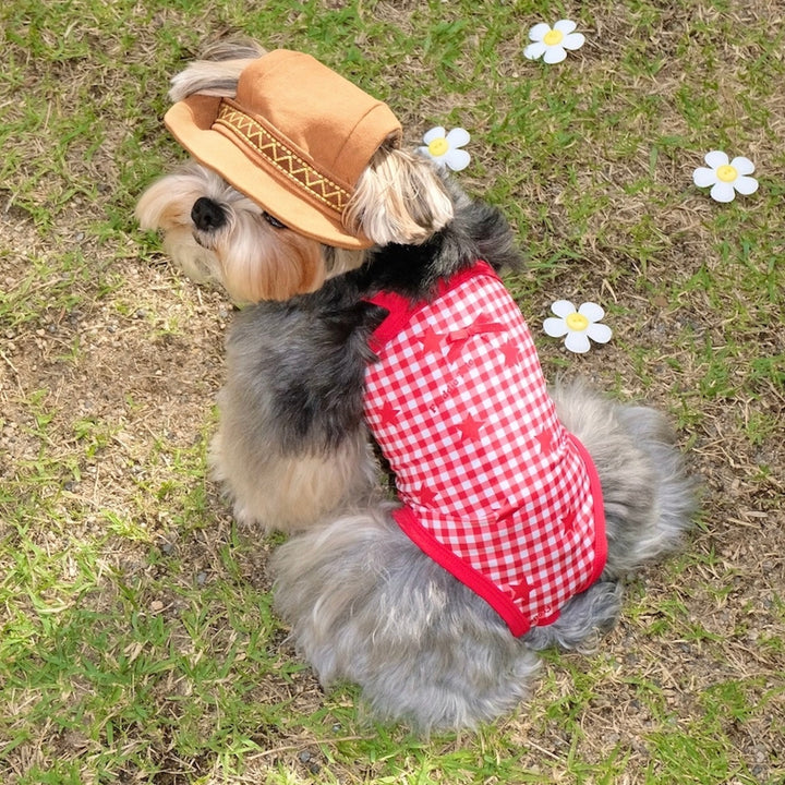 ※予約販売【FREDDIE TALE】Howdy Star Monokini