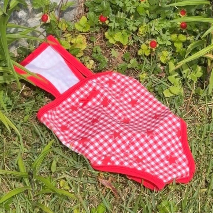 ※予約販売【FREDDIE TALE】Howdy Star Monokini