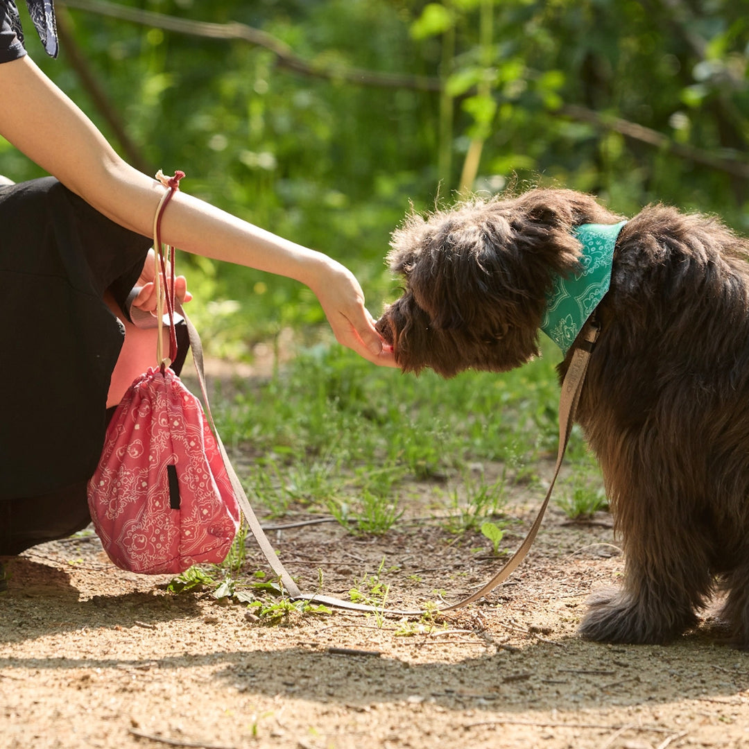 ※予約販売【andblank】Joy Bear Bug Guard Bandana Reversible Bib