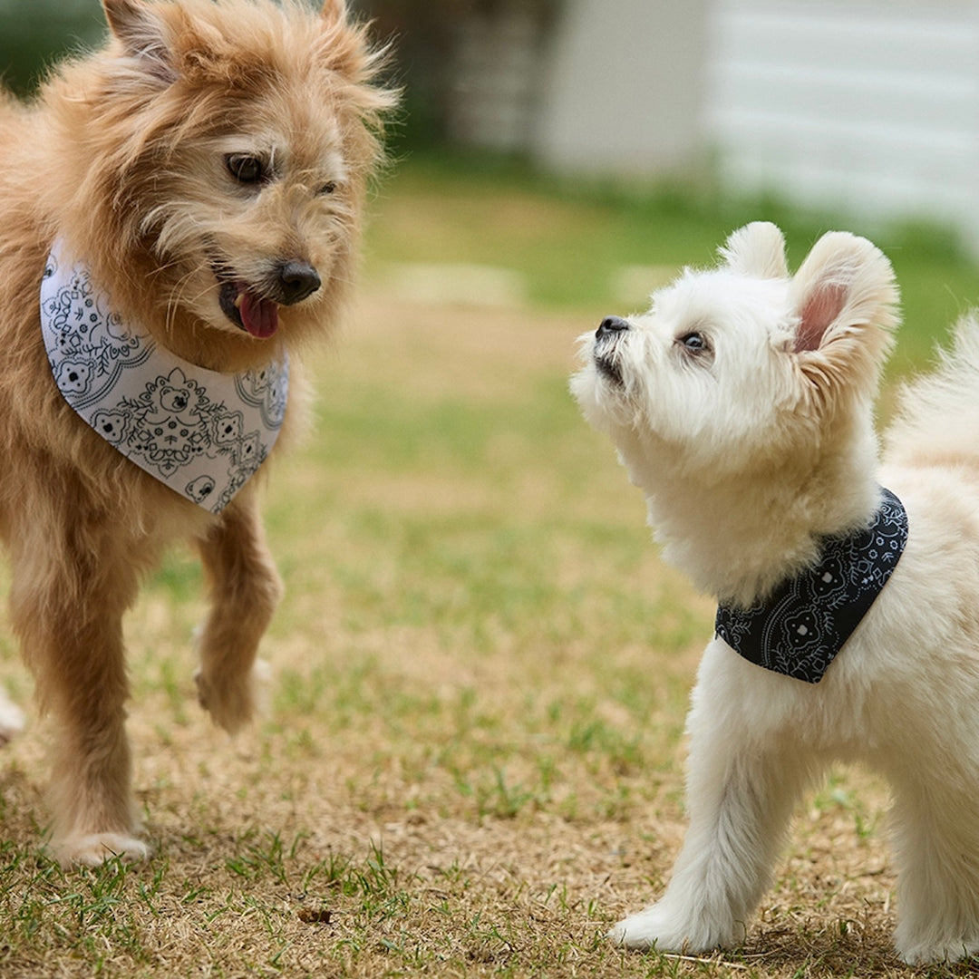 ※予約販売【andblank】Joy Bear Bug Guard Bandana Reversible Bib