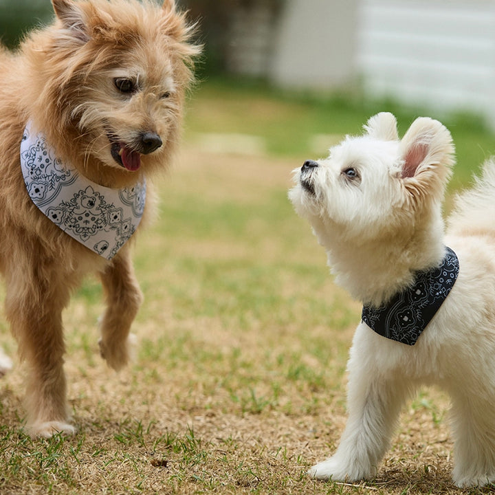 ※予約販売【andblank】Joy Bear Bug Guard Bandana Reversible Bib