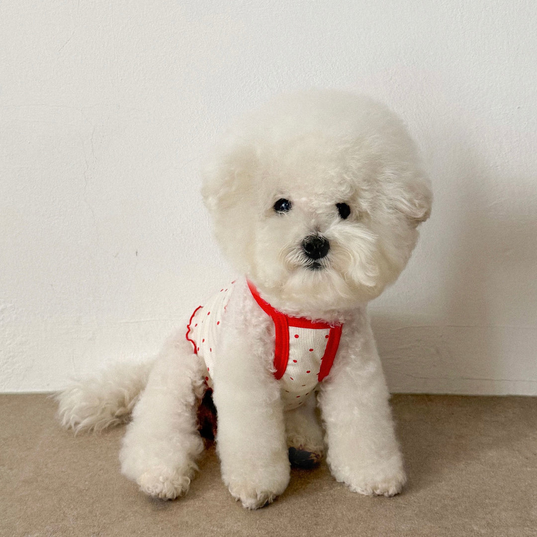 ※予約販売【CRR】Dot point strap top（Ivory）