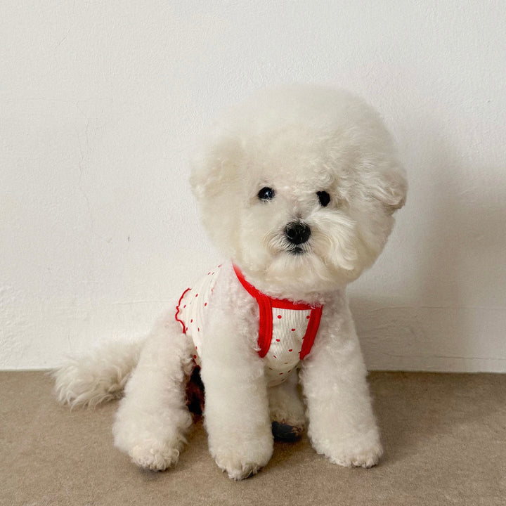 ※予約販売【CRR】Dot point strap top（Ivory）