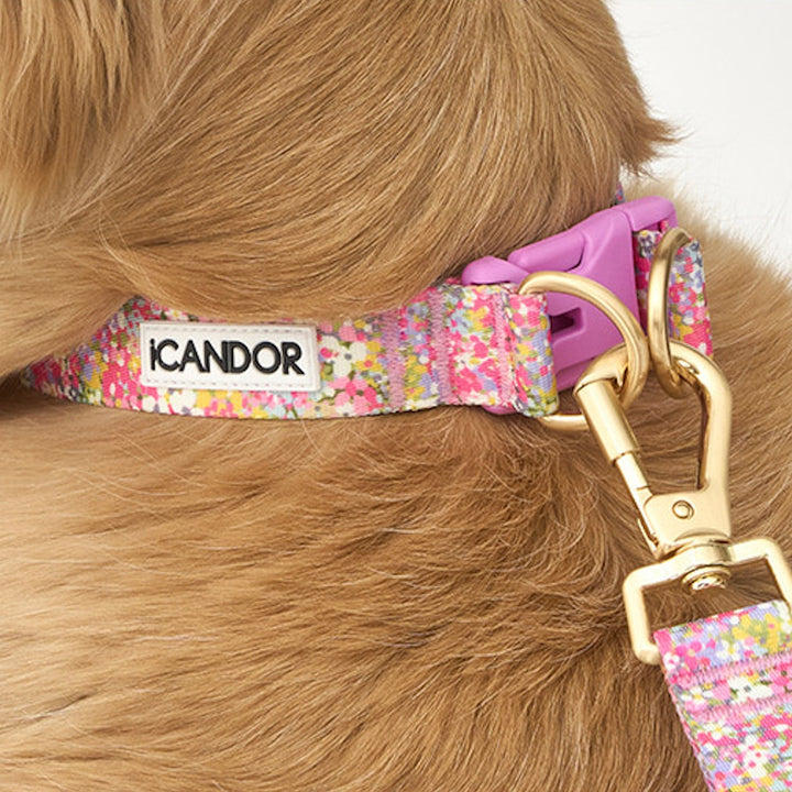 ※予約販売【iCANDOR】Gentle Collar Dual（FLORA）L