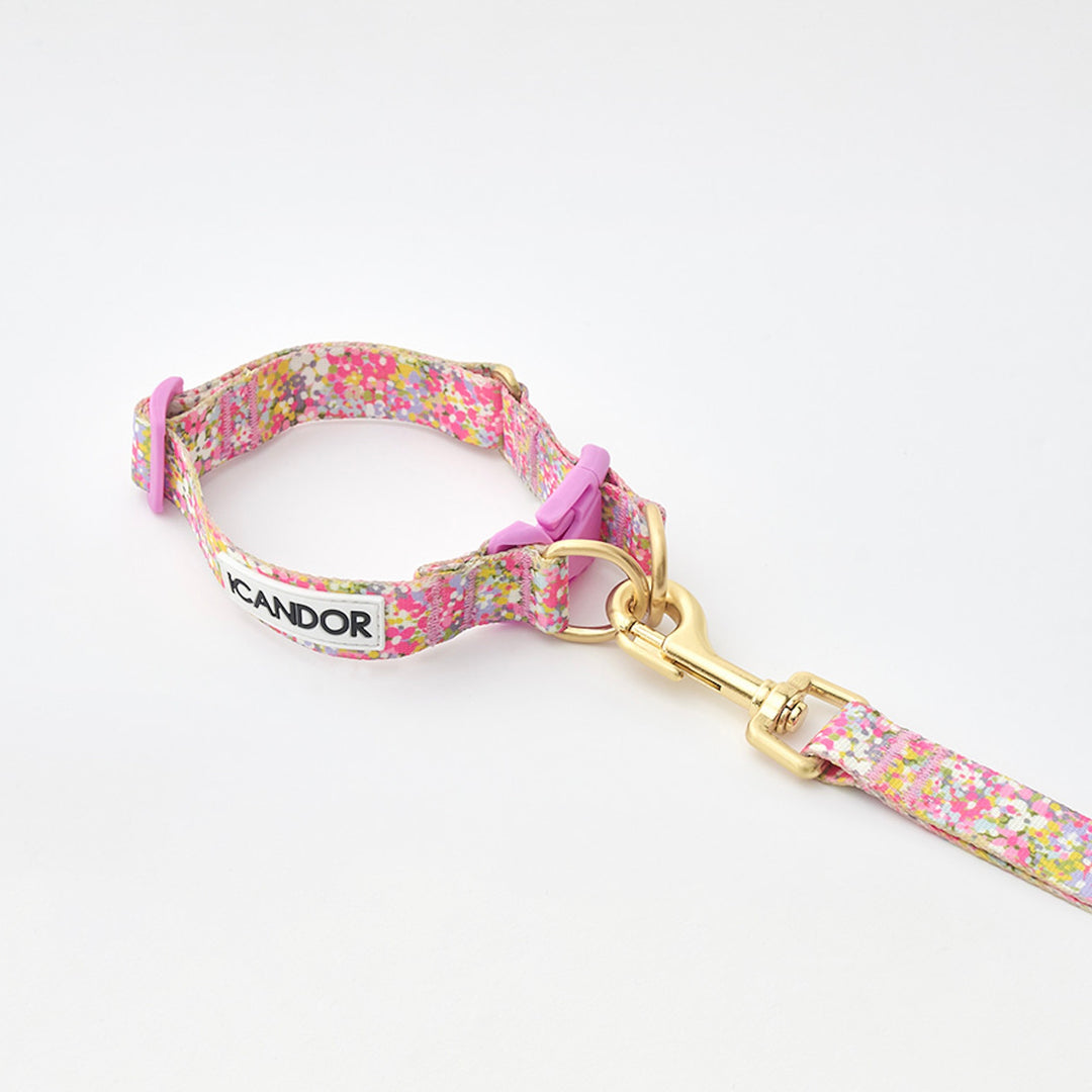※予約販売【iCANDOR】Gentle Collar Dual（FLORA）L