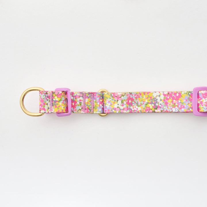 ※予約販売【iCANDOR】Gentle Collar Dual（FLORA）L