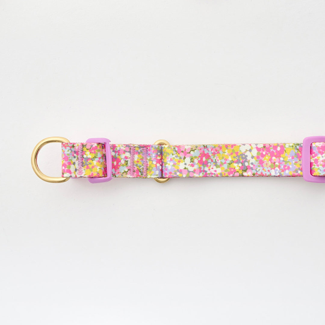 ※予約販売【iCANDOR】Gentle Collar Dual（FLORA）S/M