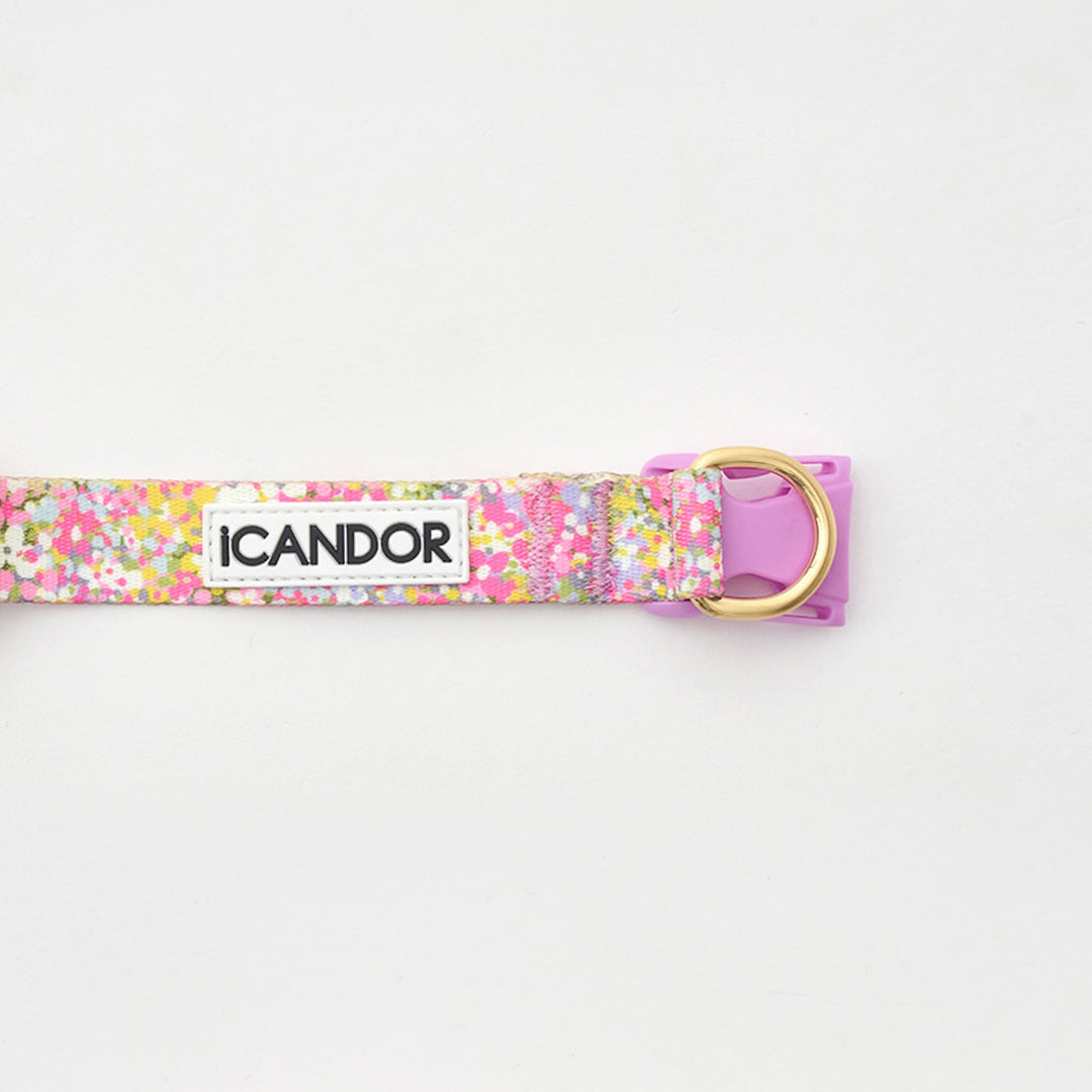 ※予約販売【iCANDOR】Gentle Collar Dual（FLORA）S/M
