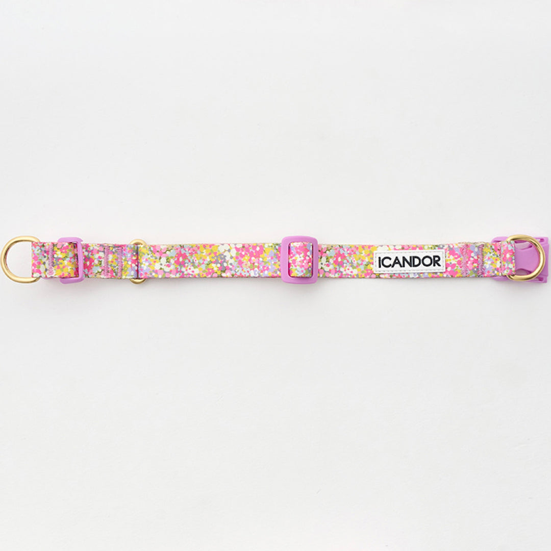 ※予約販売【iCANDOR】Gentle Collar Dual（FLORA）L