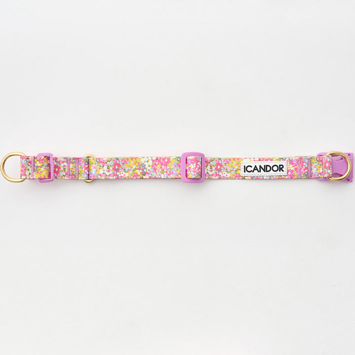 ※予約販売【iCANDOR】Gentle Collar Dual（FLORA）S/M