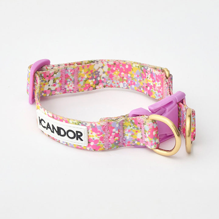 ※予約販売【iCANDOR】Gentle Collar Dual（FLORA）S/M
