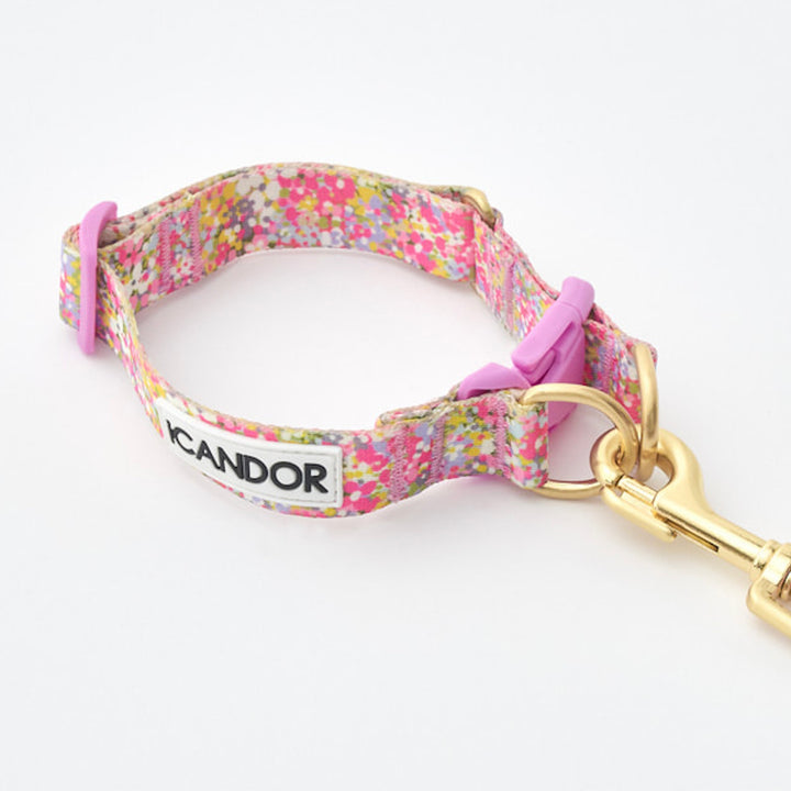 ※予約販売【iCANDOR】Gentle Collar Dual（FLORA）L