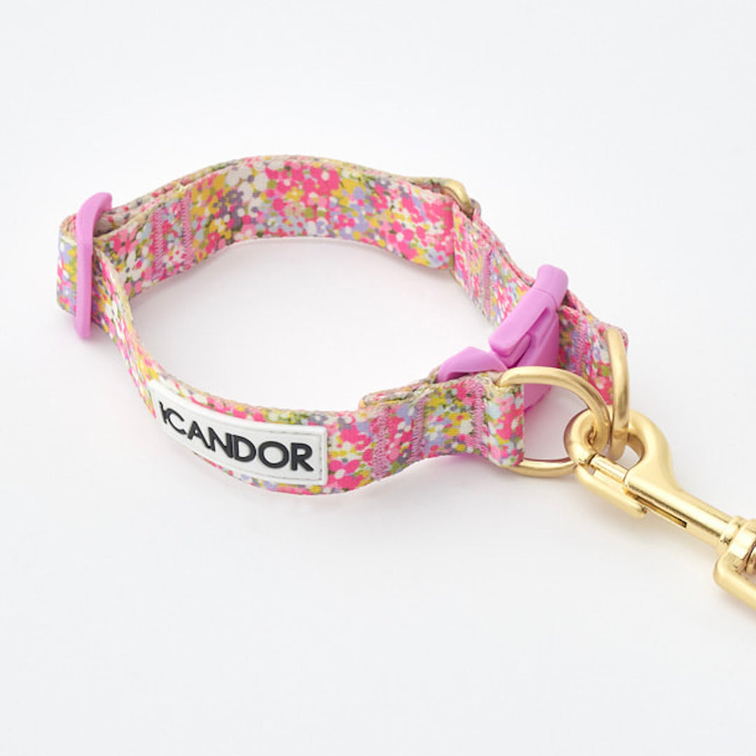 ※予約販売【iCANDOR】Gentle Collar Dual（FLORA）S/M