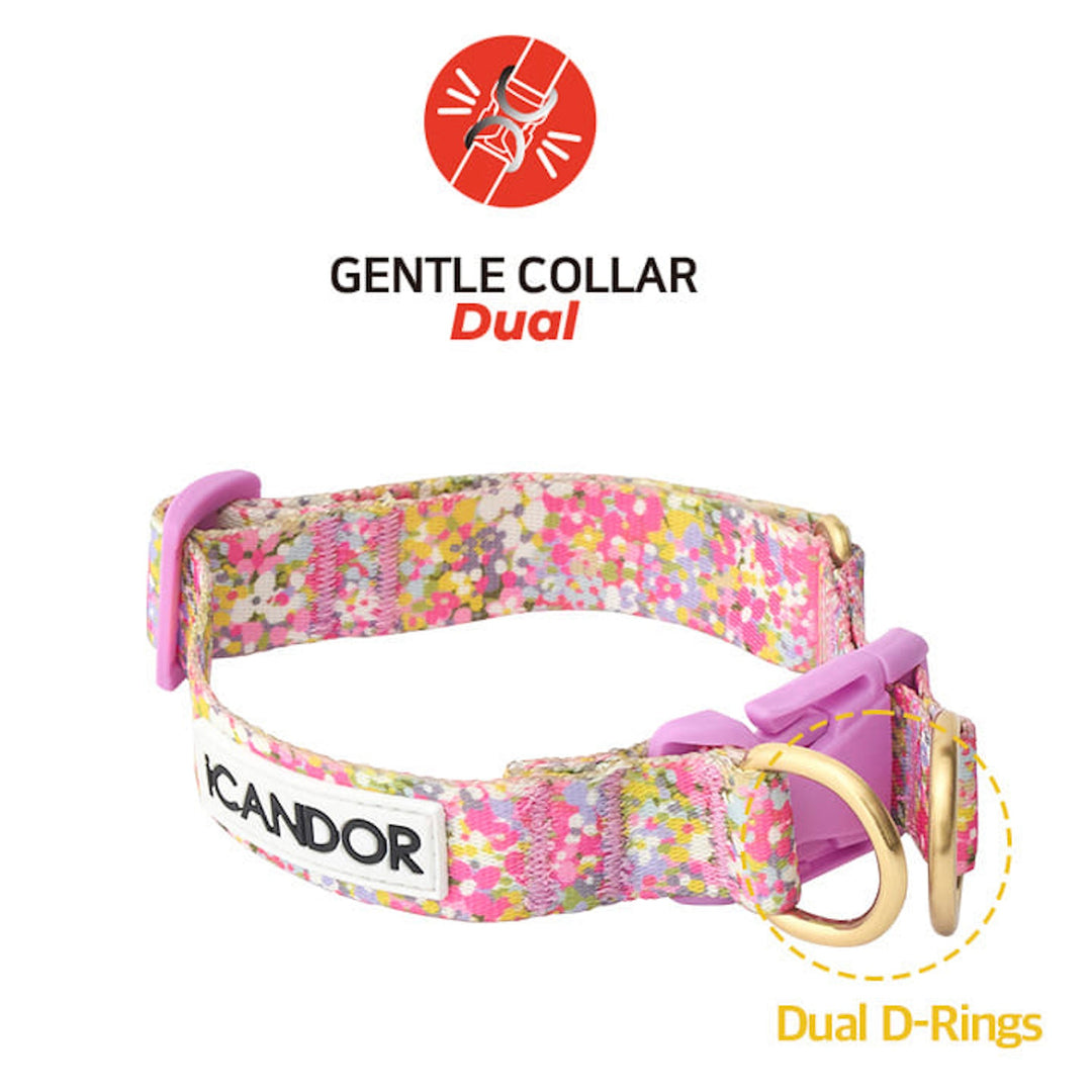 ※予約販売【iCANDOR】Gentle Collar Dual（FLORA）L