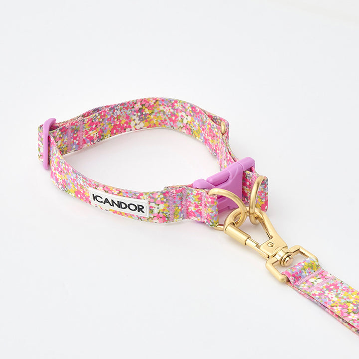 ※予約販売【iCANDOR】Gentle Collar Dual（FLORA）L