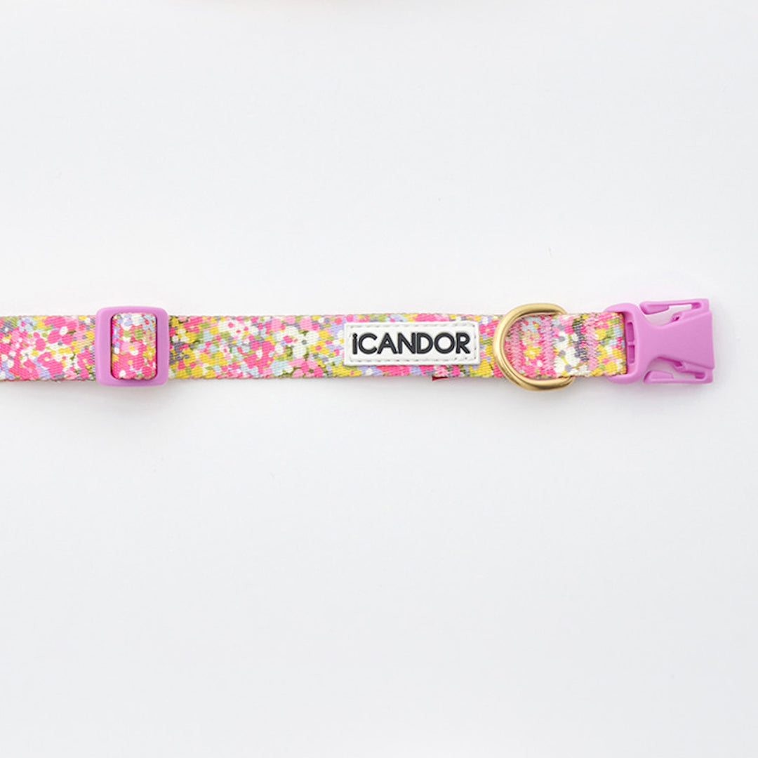 ※予約販売【iCANDOR】Gentle Collar（FLORA）XS-15mm