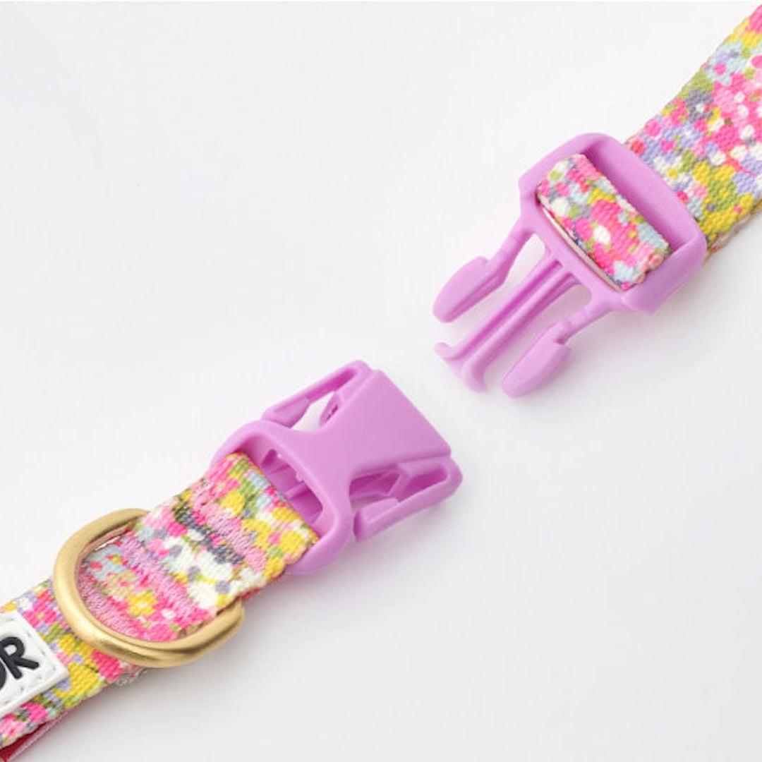 ※予約販売【iCANDOR】Gentle Collar（FLORA）XS-15mm
