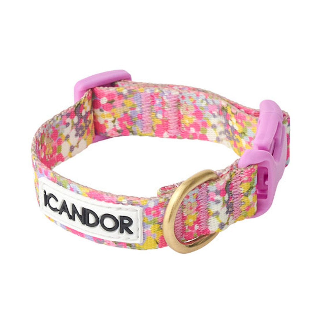 ※予約販売【iCANDOR】Gentle Collar（FLORA）XS-15mm