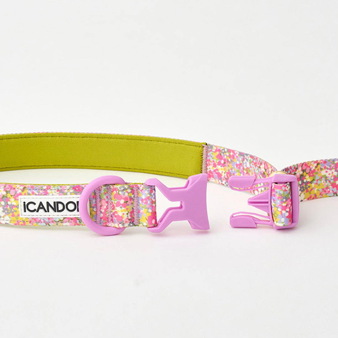 ※予約販売【iCANDOR】Gentle Leash Bolt（FLORA）