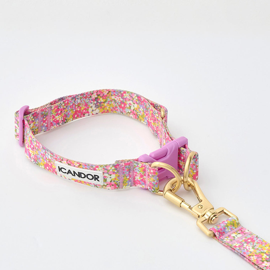 ※予約販売【iCANDOR】Gentle Leash Bolt（FLORA）