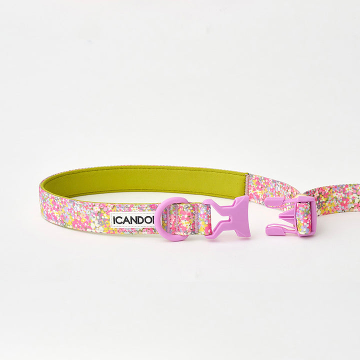 ※予約販売【iCANDOR】Gentle Leash Bolt（FLORA）